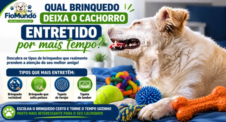 Brinquedo deixa o cachorro entretido por mais tempo