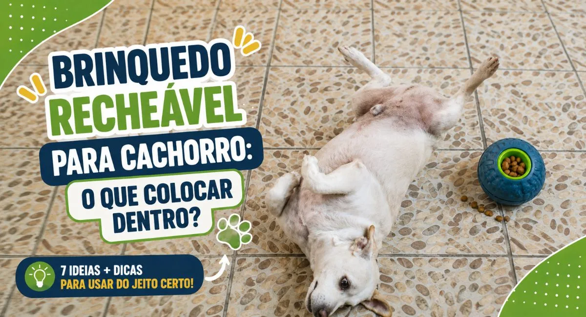Brinquedo recheável para cachorro com alimento dentro