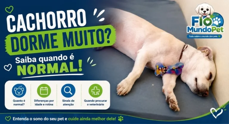 Cachorro dormindo deitado em uma cama