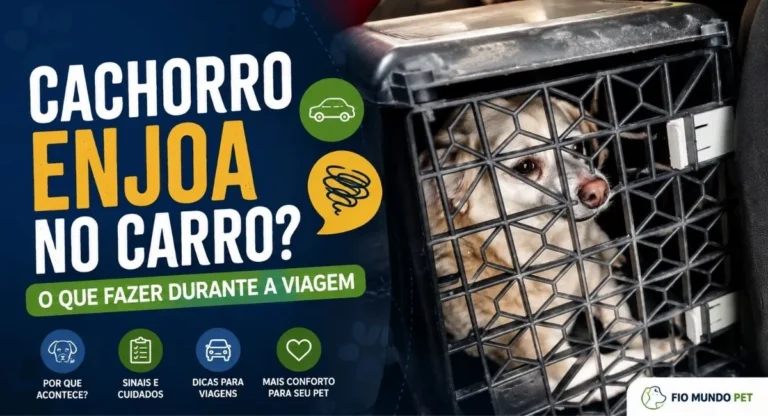 Fio dentro da caixa de transporte durante viagem de carro