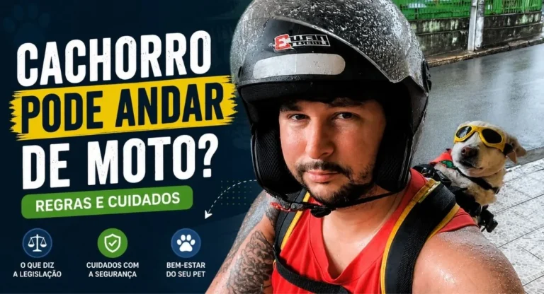 Cachorro na mochila durante passeio de moto com o tutor