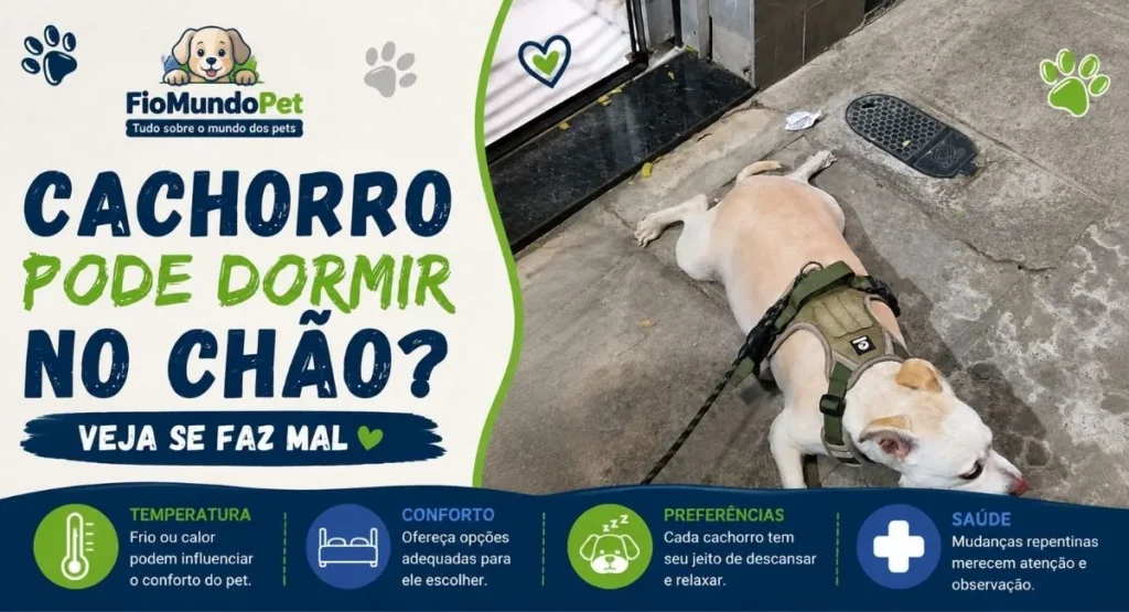 cachorro pode dormir no chão