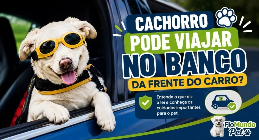 cachorro pode viajar no banco da frente