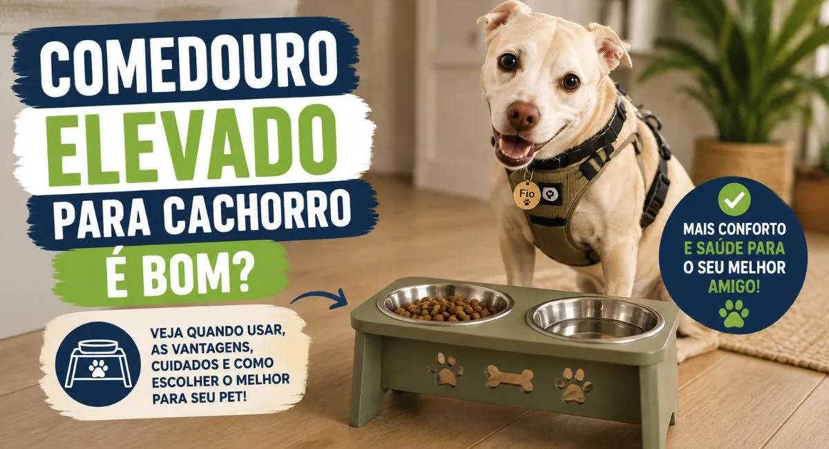 Comedouro elevado para cachorro