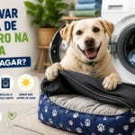 Como lavar caminha de cachorro na máquina sem estragar