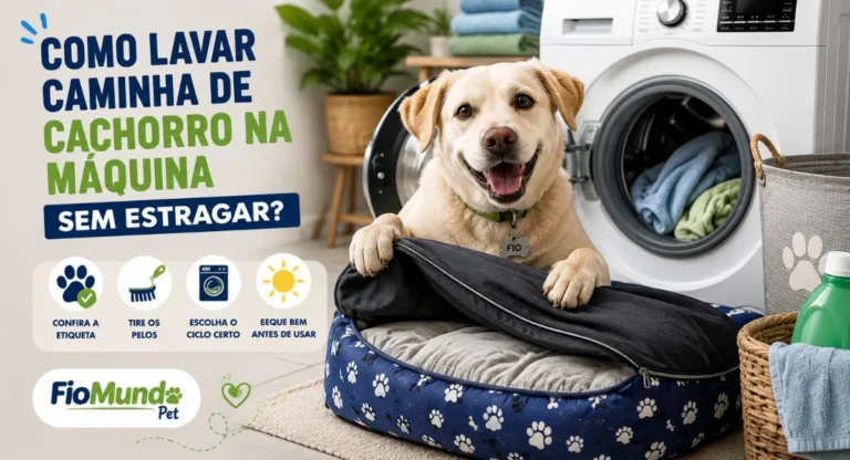 Como lavar caminha de cachorro na máquina sem estragar