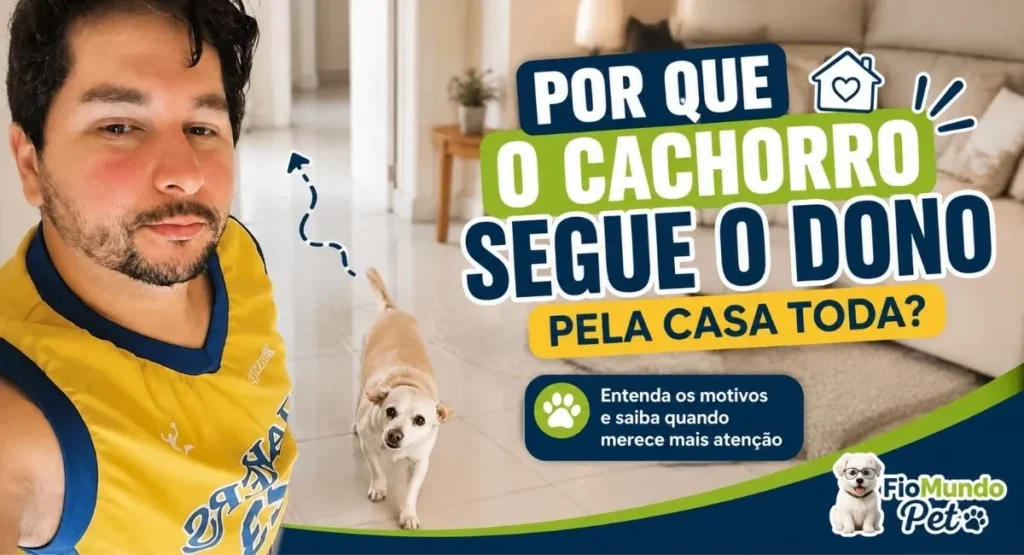 por que o cachorro segue o dono pela casa
