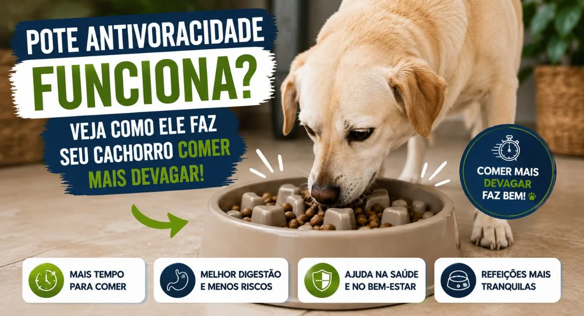 Pote antivoracidade para cachorro funciona