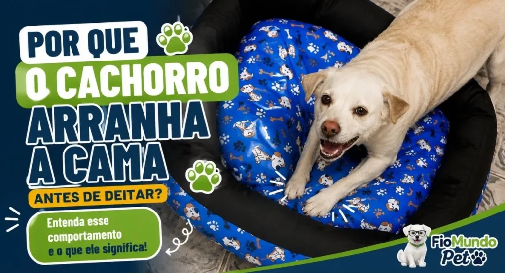 cachorro arranha a cama antes de deitar