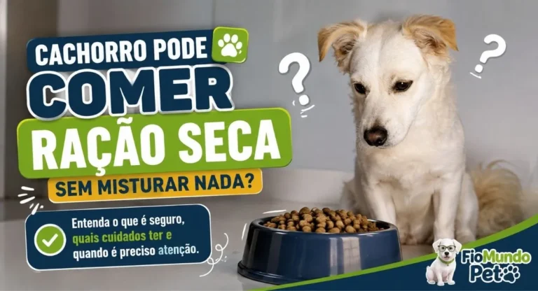 cachorro pode comer ração seca