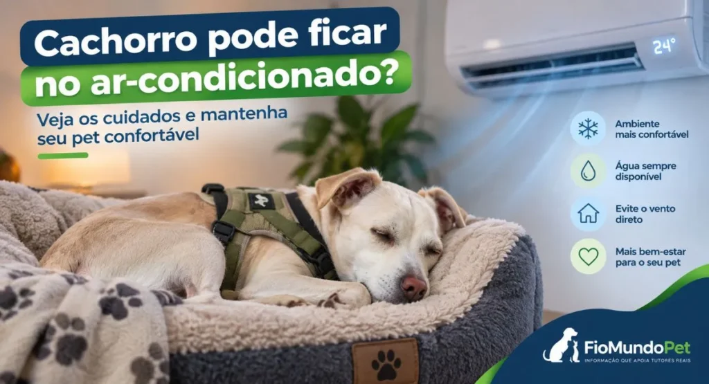 cachorro pode ficar no ar-condicionado