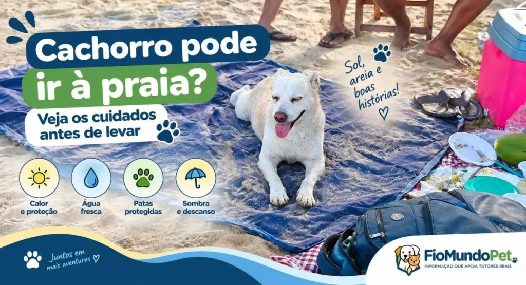 cachorro pode ir à praia
