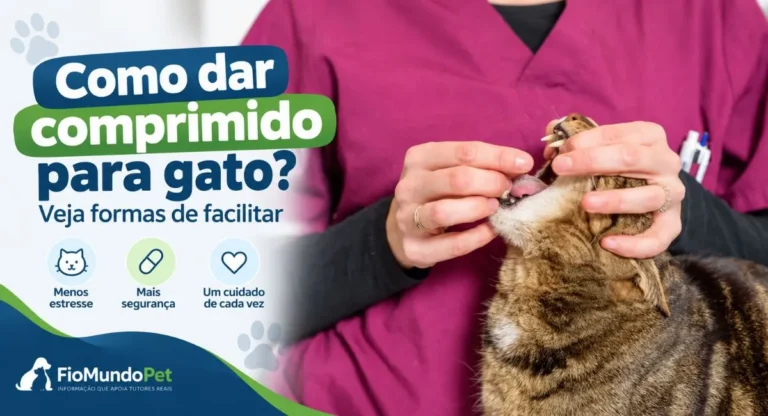 como dar comprimido para gato