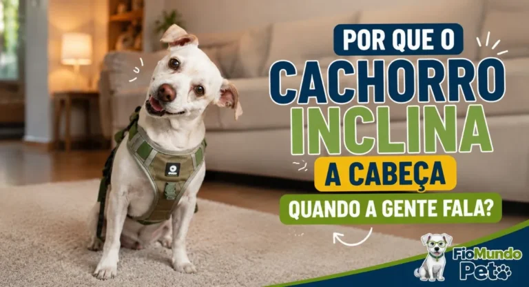 por que o cachorro inclina a cabeça