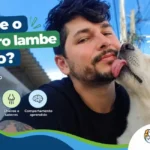 por que o cachorro lambe o dono