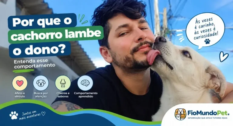 por que o cachorro lambe o dono