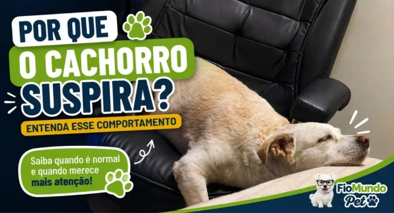 Por Que o Cachorro Suspira? Entenda os Motivos
