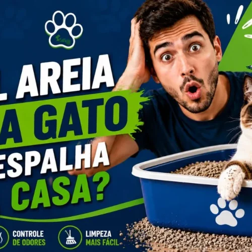 Qual areia para gato não espalha pela casa