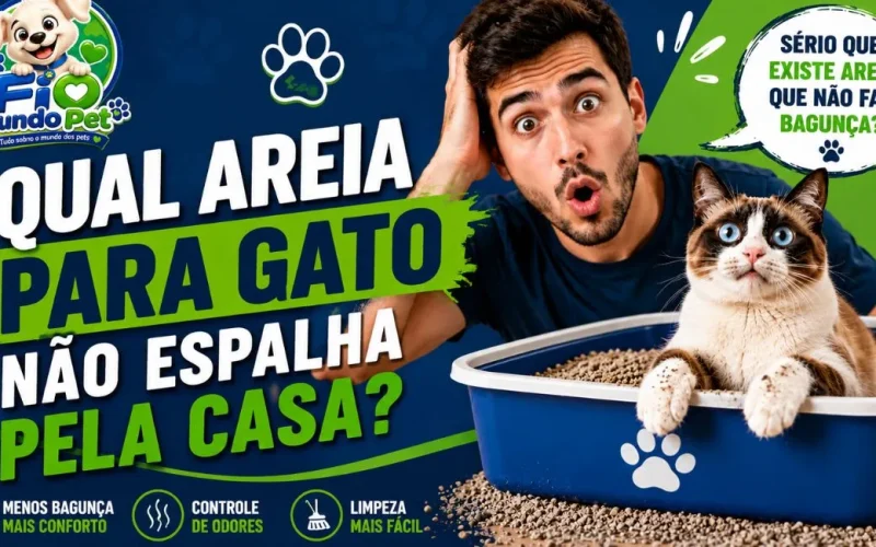 Qual areia para gato não espalha pela casa