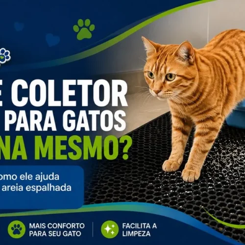 Tapete coletor de areia para gatos funciona mesmo