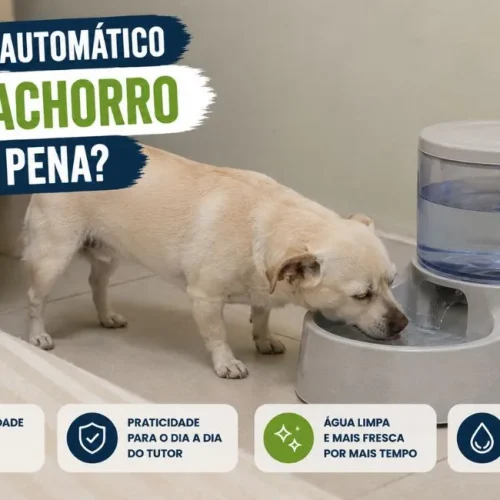 Bebedouro automático para cachorro vale a pena