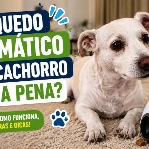 Brinquedo automático para cachorro