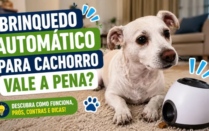 Brinquedo automático para cachorro