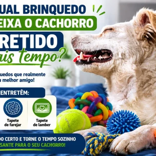 Brinquedo deixa o cachorro entretido por mais tempo