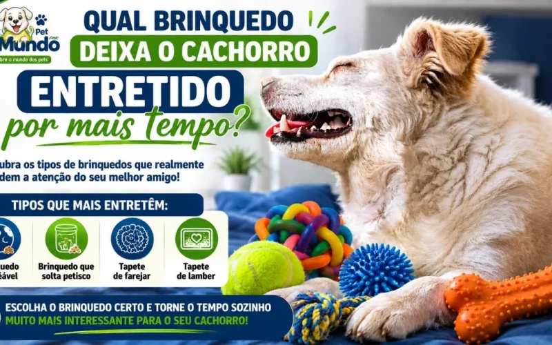 Brinquedo deixa o cachorro entretido por mais tempo