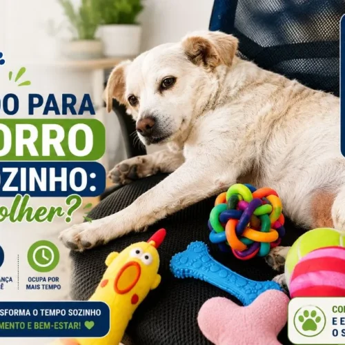 Brinquedo para cachorro ficar sozinho: qual escolher