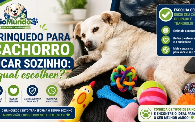 Brinquedo para cachorro ficar sozinho: qual escolher