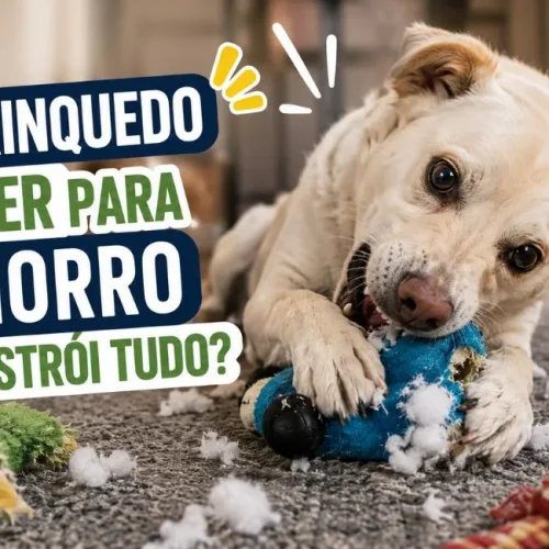 Brinquedo para cachorro que destrói tudo