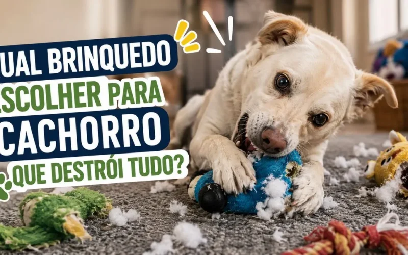 Brinquedo para cachorro que destrói tudo