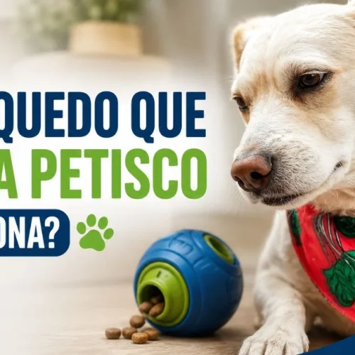 Brinquedo que solta petisco para cachorro