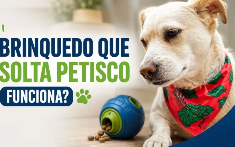 Brinquedo que solta petisco para cachorro
