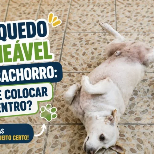 Brinquedo recheável para cachorro com alimento dentro