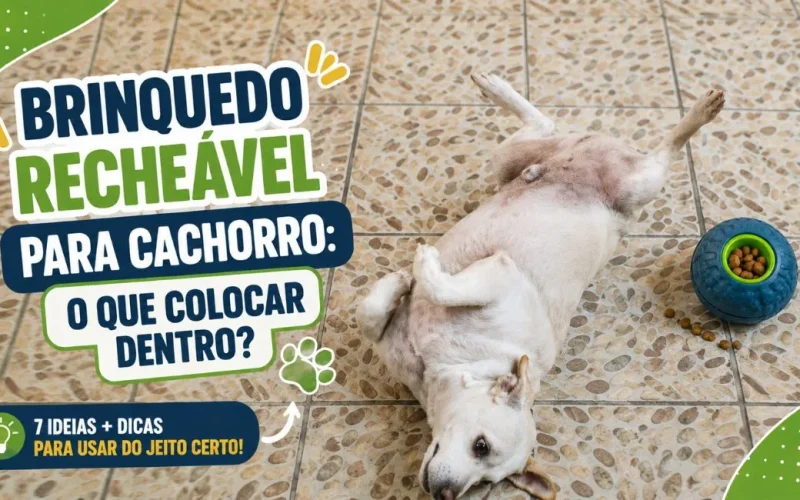 Brinquedo recheável para cachorro com alimento dentro