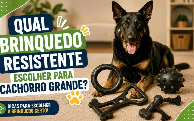 Brinquedo resistente para cachorro grande