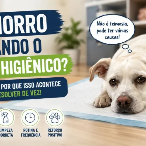Cachorro errando o tapete higiênico