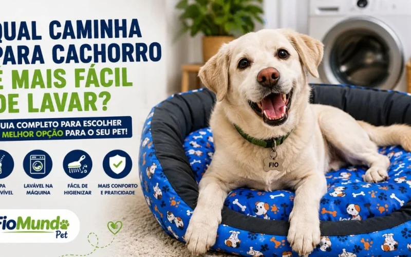 caminha para cachorro fácil de lavar