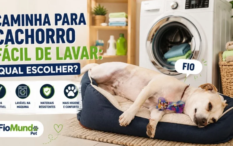 Caminha para cachorro fácil de lavar