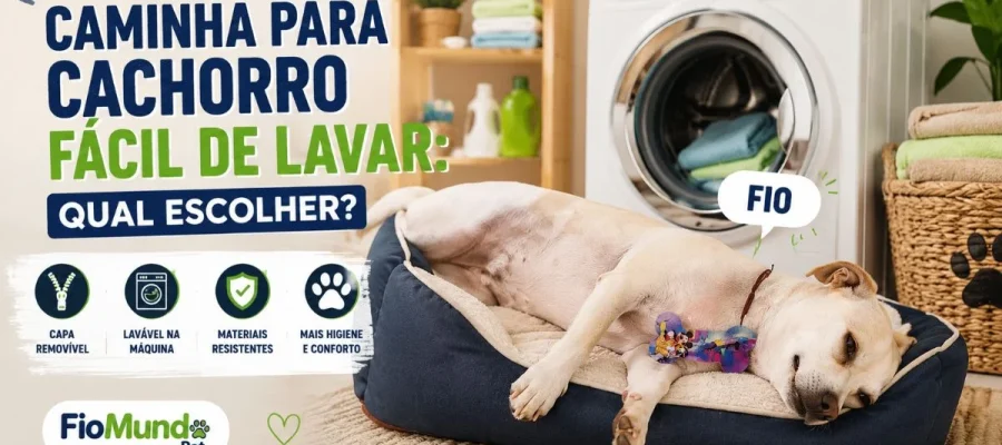 Caminha para cachorro fácil de lavar
