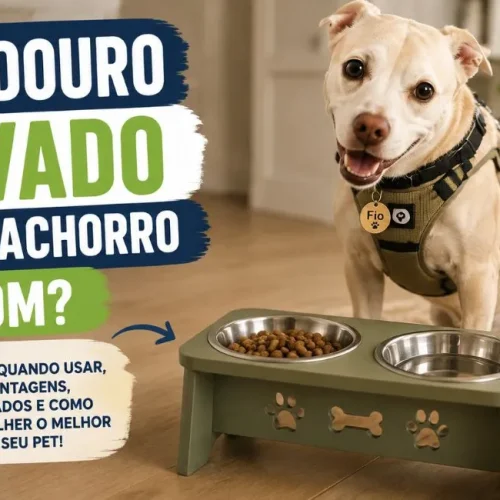 Comedouro elevado para cachorro