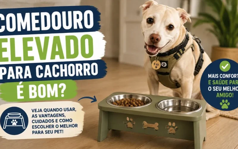 Comedouro elevado para cachorro