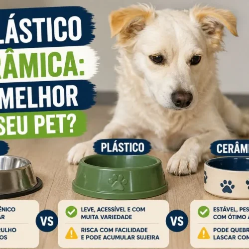 Comedouro de inox plástico ou cerâmica
