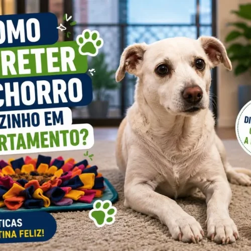 Como entreter cachorro sozinho em apartamento