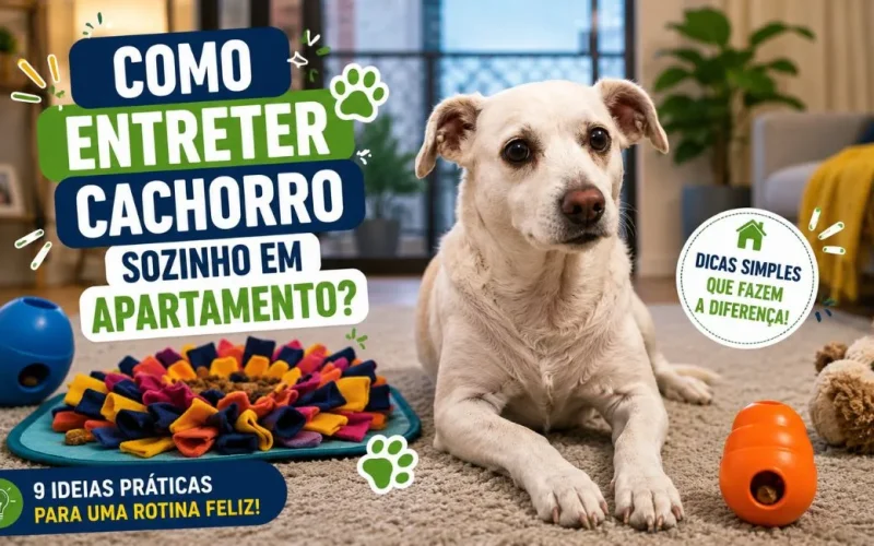 Como entreter cachorro sozinho em apartamento