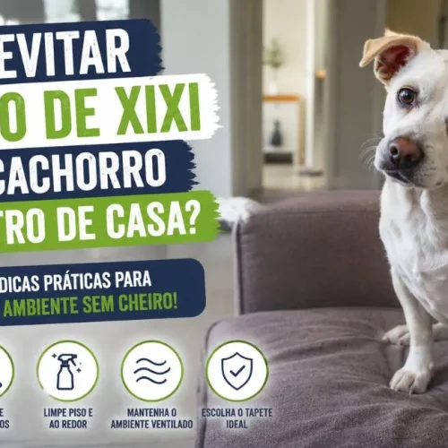 Como evitar cheiro de xixi de cachorro dentro de casa