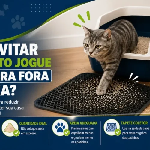 Como evitar que o gato jogue areia para fora da caixa