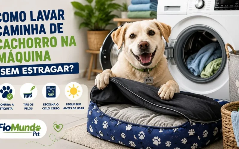 Como lavar caminha de cachorro na máquina sem estragar